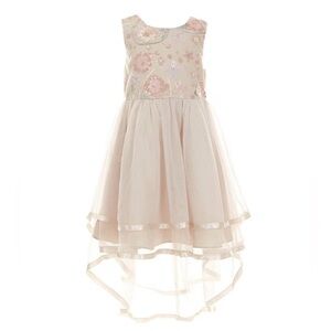 Rare Editions Sequin Embellished Embroidered Mesh-Overlay High-Low Hem Dress